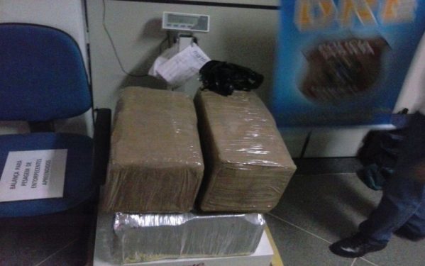 Droga foi distribuída em quatro malas (Foto: Divulgação Polícia Federal )