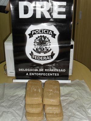PF de Sergipe apreende 6 kg de cocaína em ônibus proveniente de SP