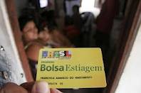   Dilma quer reduzir pela metade número de mortes no trânsito até 2020