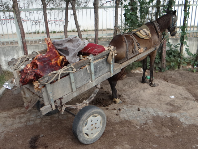   Vigilância Sanitária inutiliza 200 kg de carne clandestina em Aracaju