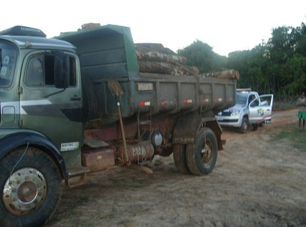 Dois são presos suspeitos de extrair ilegalmente madeira de lei em Sergipe