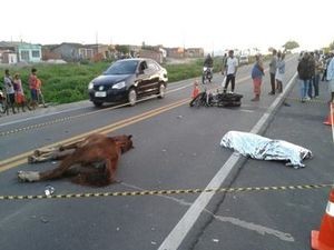 Motociclista morre ao colidir veículo com animal na BR 235 em Areia Branca