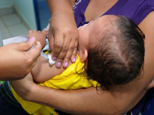 Governo do Estado  Secretaria de Estado  já distribuiu 6,2 mil doses da vacina. (Divulgação)