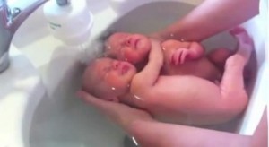  Gêmeos parecem não ser dar conta de terem nascido. (Divulgação) 