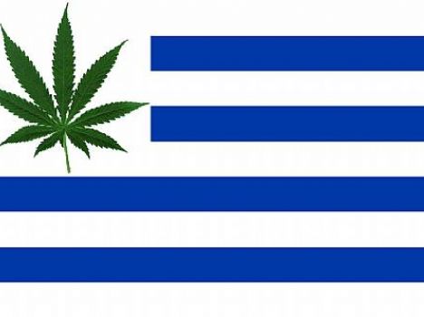 Presidente promulga lei que legaliza a maconha no Uruguai