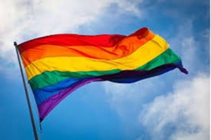 Segundo a resolução, deve ser garantido à pessoa LGBT, em igualdade de condições, o benefício do auxílio-reclusão, pago aos dependentes dos segurados encarcerados, inclusive ao cônjuge ou companheiro do mesmo sexo. 