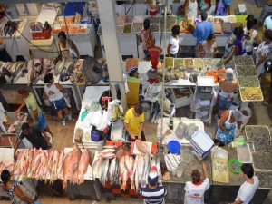 Procura por pescados aumenta na Semana Santa (Foto: Marina Fontenele/G1)
