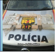 Polícia apreende droga que estava enterrada em galinheiro em Aracaju
