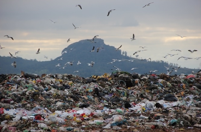 Sergipe não consegue cumprir prazo para fechar lixões