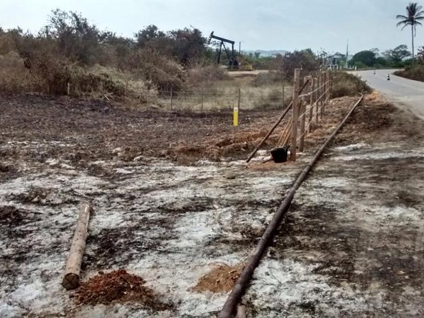 221 armas de fogo são apreendidas em SE