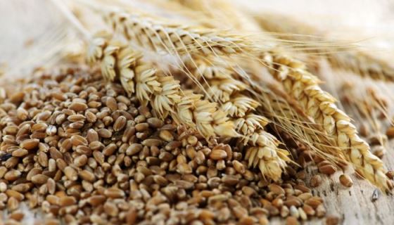 Consumo de grãos e fibras contribui para uma alimentação saudável