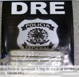 Cocaína apreendida. (Foto: PF/SE)