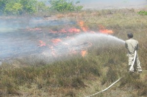 Bombeiros  de Aracaju foram ajudar a equipe que trabalha no local desde domingo (Foto: Ilustrativa Arquivo Infonet)