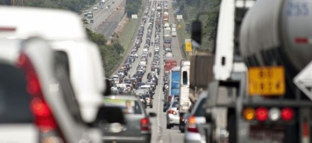 Brasileiros têm 52 milhões de cães e 22 milhões de gatos, aponta IBGE