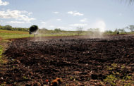 Companhia de irrigação recebe mais de R$ 11 milhões em investimentos e melhora vida dos produtores sergipanos