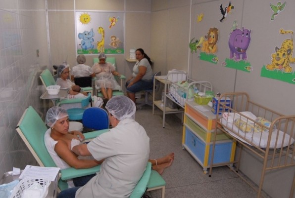 Produtores de Porto da Folha receberão incentivo para produção de palma forrageira