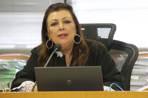 Susana Azevedo prepara eventos na área da Educação para os novos gestores