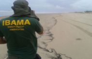 Ibama vai multar Petrobras por mancha de óleo na Praia da Caueira