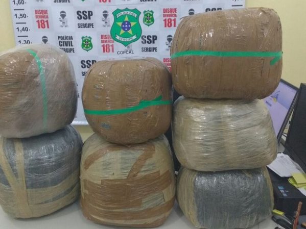 Apreensão da droga aconteceu nesta terça-feira (8). (Foto: Polícia Civil)