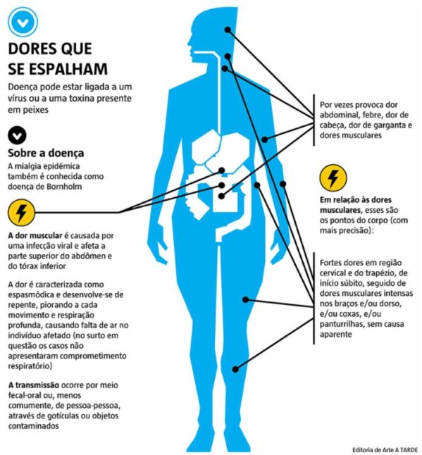 Segundo médico, doença pode causar insuficiência renal.