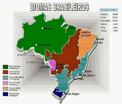 "Fraternidade: biomas brasileiros e a defesa da vida" é o tema desta edição