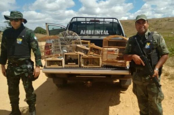  PM apreende 34 aves que seriam vendidas na Feira das Trocas. (Foto: PM/SE)