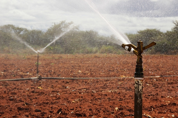 Para 2017, prioridades são alavancar economia do estado por meio da aplicação de recursos em irrigação e fortalecer parcerias com municípios (Foto: Frederico Celente / Codevasf) 