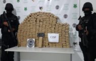 Polícia apreende mais de 200 quilos de maconha no Grande Rosa Elze