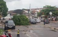 Chuva derruba árvore e causa problemas em hospitais de Aracaju