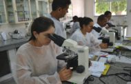 Estado capacita profissionais de saúde para identificar larvas do Aedes aegypti