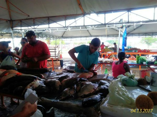 Centro de Abastecimento José do Prado Franco recebe clientes em busca de pescados frescos para o almoço