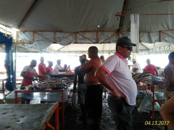 Centro de Abastecimento José do Prado Franco, tem preços variados de pescados na Semana Santa