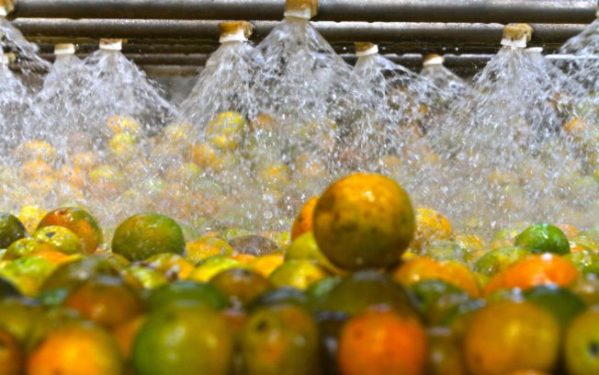 Calçados e suco de laranja representam 61,4% das exportações de Sergipe