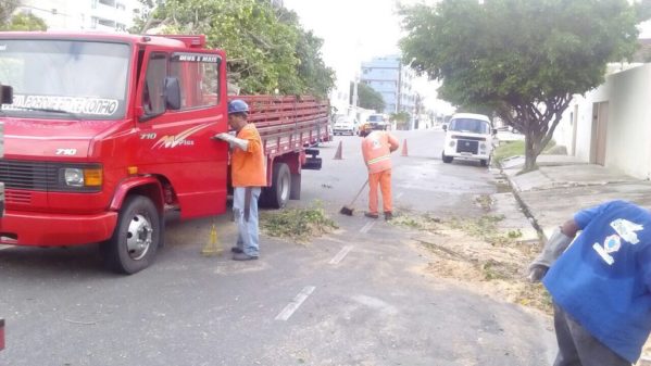 Emsurb recolhe árvores derrubadas pelos fortes ventos em Aracaju