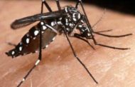 Em Sergipe, oito municípios com alto risco de infestação do Aedes Aegypti