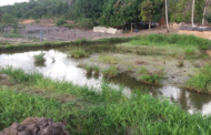 Pelotão Ambiental flagra retirada ilegal de arenoso na Zona Rural de Itaporanga D'Ajuda