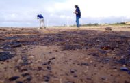 Praia de Jatobá continua imprópria para banho, afirma Adema