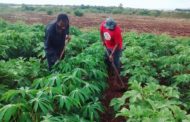 Movimento dos Pequenos Agricultores (MPA) realiza Campanha Natal Sem Veneno