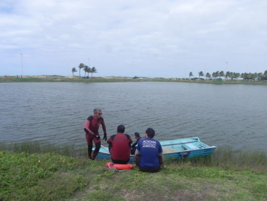 Jacaré está há cinco meses nos lagos da Orla de Atalaia