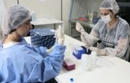 Sete variantes do novo coronavírus são encontradas em amostras de pacientes infectados de Sergipe
