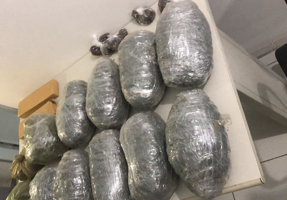 Polícia Civil prende em flagrante por tráfico de drogas e apreende 15 kg de maconha na Aruana