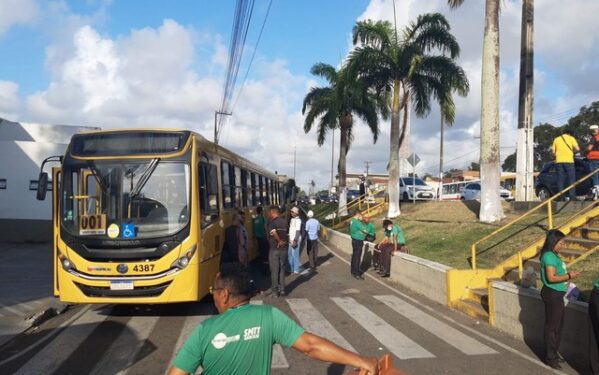 Polícia apreende mais de 142 kg de maconha no Alto Sertão sergipano