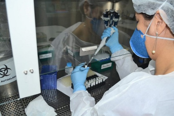 Governo de Sergipe confirma 10 mortes por Influenza H3N2