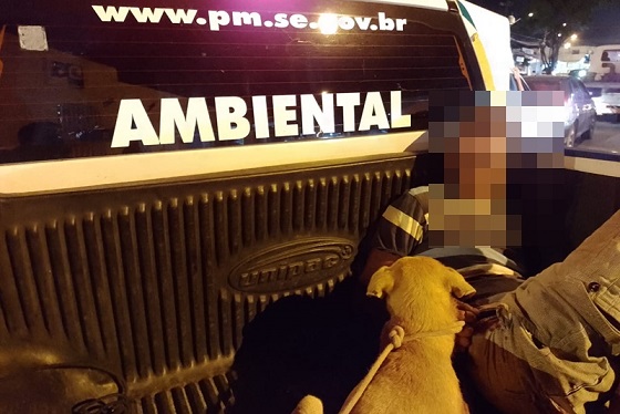 Polícia Militar prende homem por maus tratos a animal em São Cristóvão