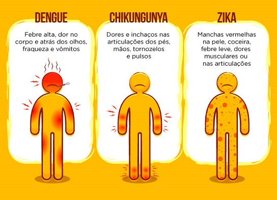 Saiba o que fazer caso tenha sintomas de dengue, zika ou chikungunya