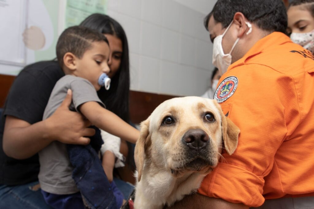 Cães do Corpo de Bombeiros auxiliam na recuperação de crianças em hospital de Aracaju