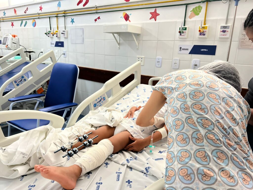 Hospital da Criança alerta para aumento de acidentes por mordedura de animais