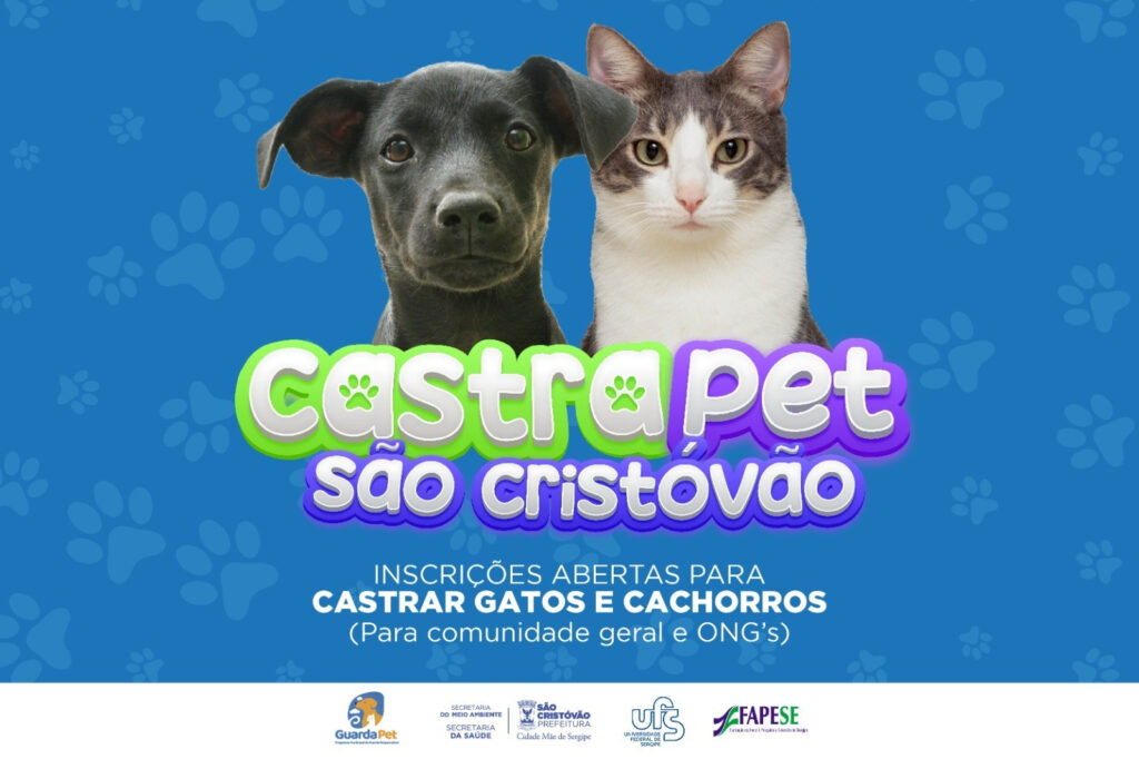 Prefeitura de São Cristóvão disponibiliza cadastro para castração animal