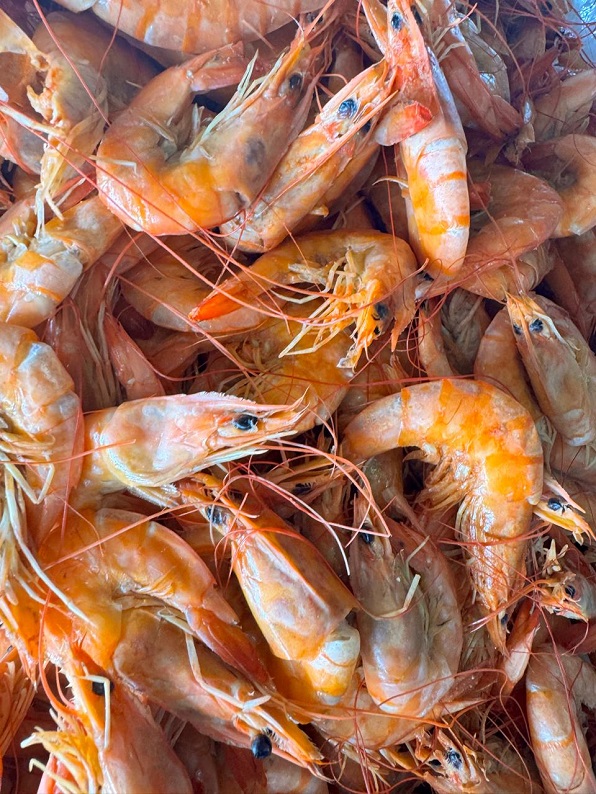 Procon de Aracaju divulga pesquisa de preços dos pescados