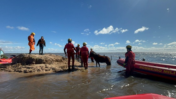 Equipe do Corpo de Bombeiros mantém missão humanitária e resgata pessoas e animais no Rio Grande do Sul